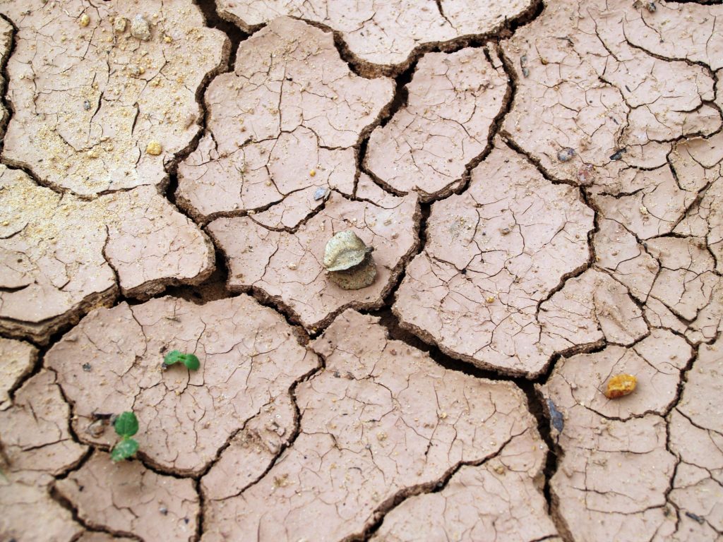Trockenheit, Landesnaturschutzverband Schleswig-Holstein e.V., Foto: icon0 (pexels_com)